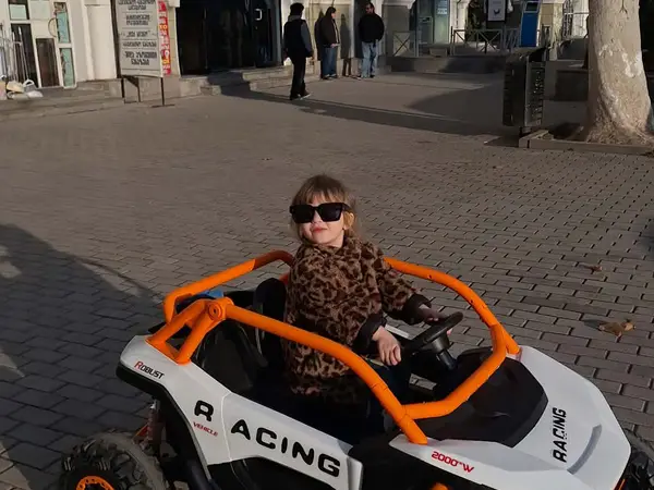 ელექტრო მანქანა
